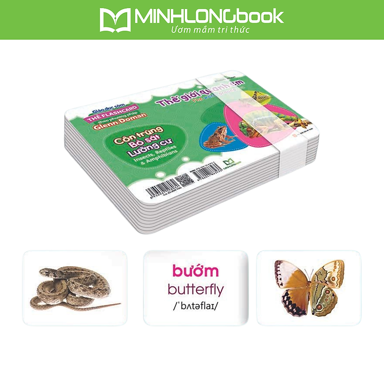 Sách Thẻ Flashcard Theo Phương Pháp Glenn Doman - Thế Giới Quanh Em: Côn Trùng - Bò Sát - Lưỡng Cư