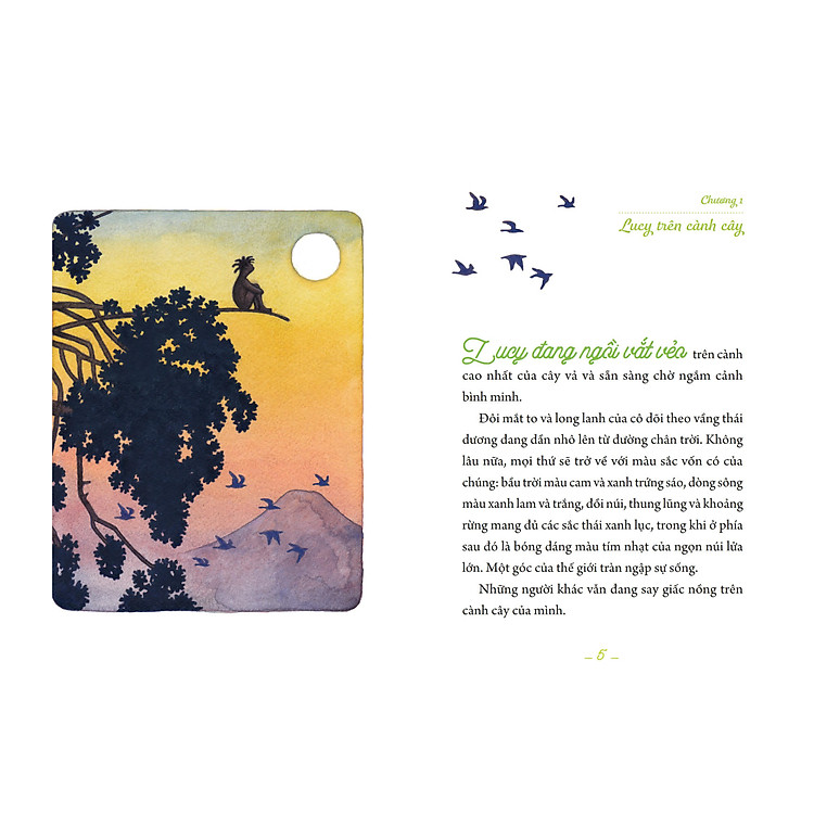 Những Con Người Đầu Tiên - Lucy - Người Phụ Nữ Đầu Tiên - Ảnh 2