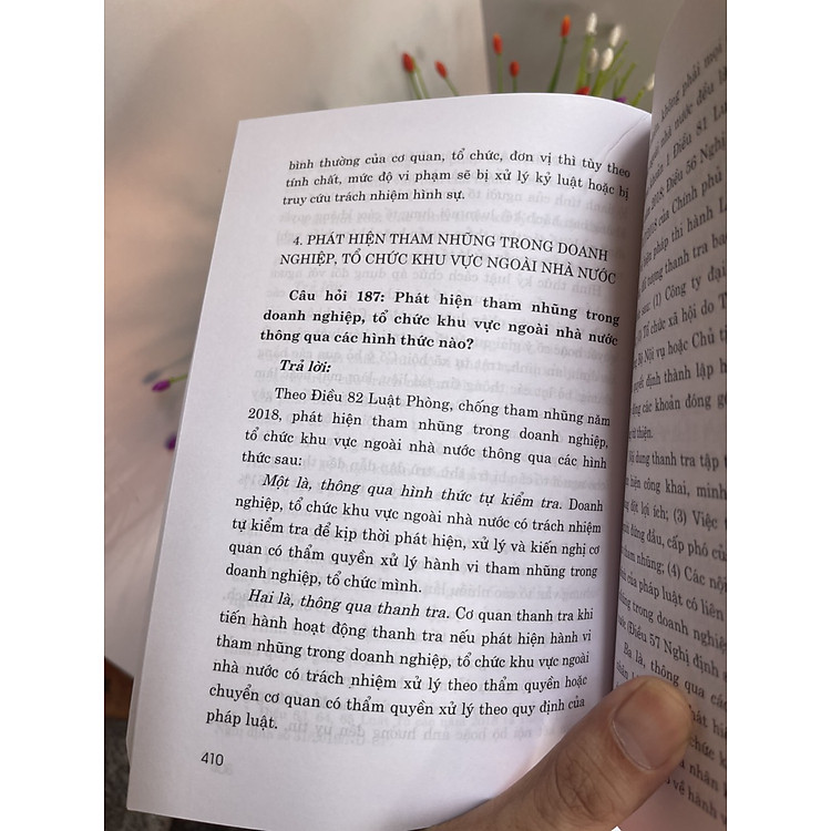 HỎI – ĐÁP VỀ PHÒNG, CHỐNG THAM NHŨNG, TIÊU CỰC Ở VIỆT NAM - Ảnh 3