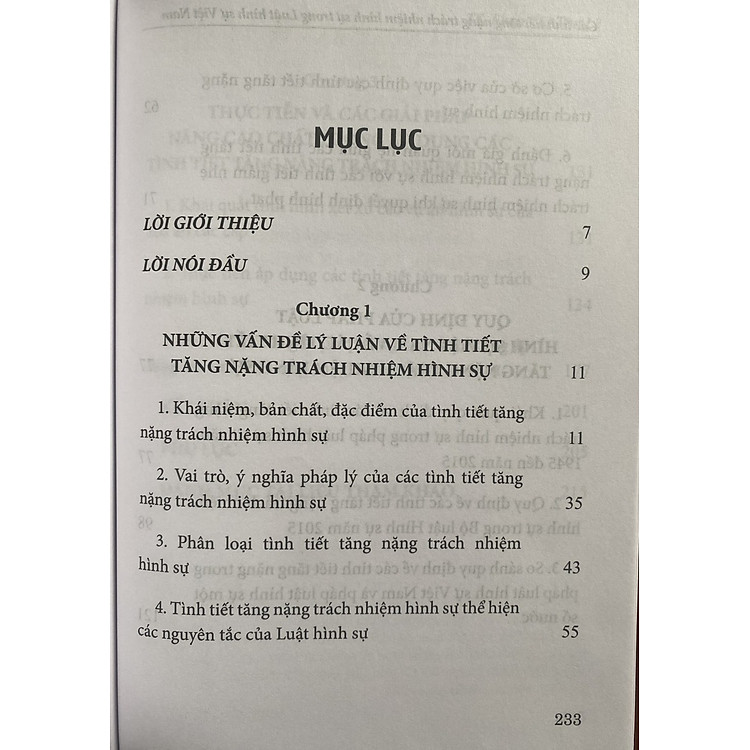 Các Tình Tiết Tăng Nặng Trách Nhiệm Hình Sự Trong Luật Hình Sự Việt Nam - Ảnh 6