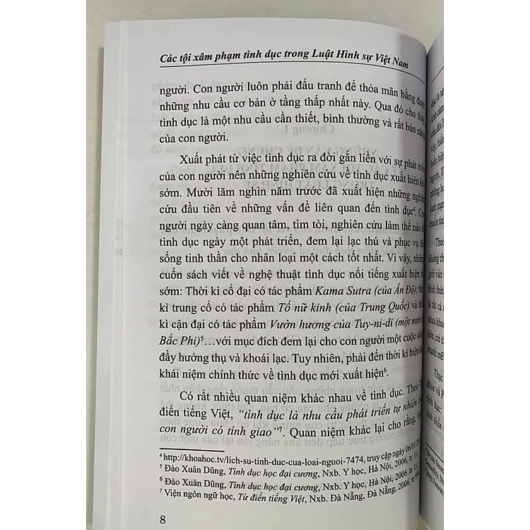 Các Tội Xâm Phạm Tình Dục Trong Luật Hình Sự Việt Nam - Ảnh 5
