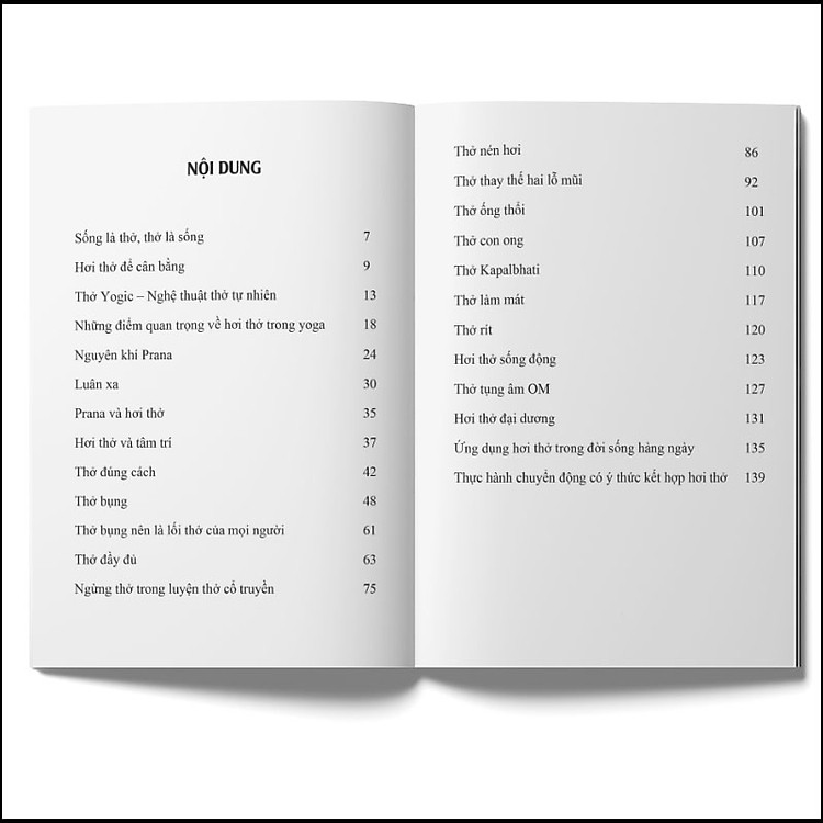 Hơi Thở Trong Yoga – Khi Hơi Thở Tĩnh Lặng, Tâm Trí Trở Nên Tĩnh Lặng - Ảnh 2