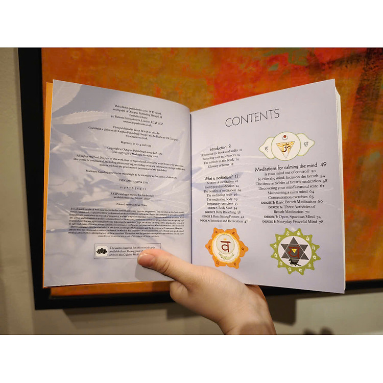 The Meditation Experience: Your Complete Meditation Workshop - Ảnh 6