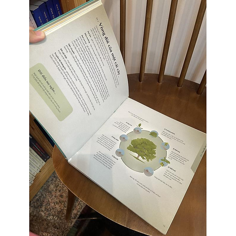 Mọi Điều Bạn Cần Biết Về Thế Giới - Ảnh 3