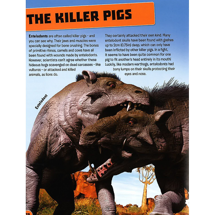 Evolution - The Story Of Life On Earth - Ảnh 4