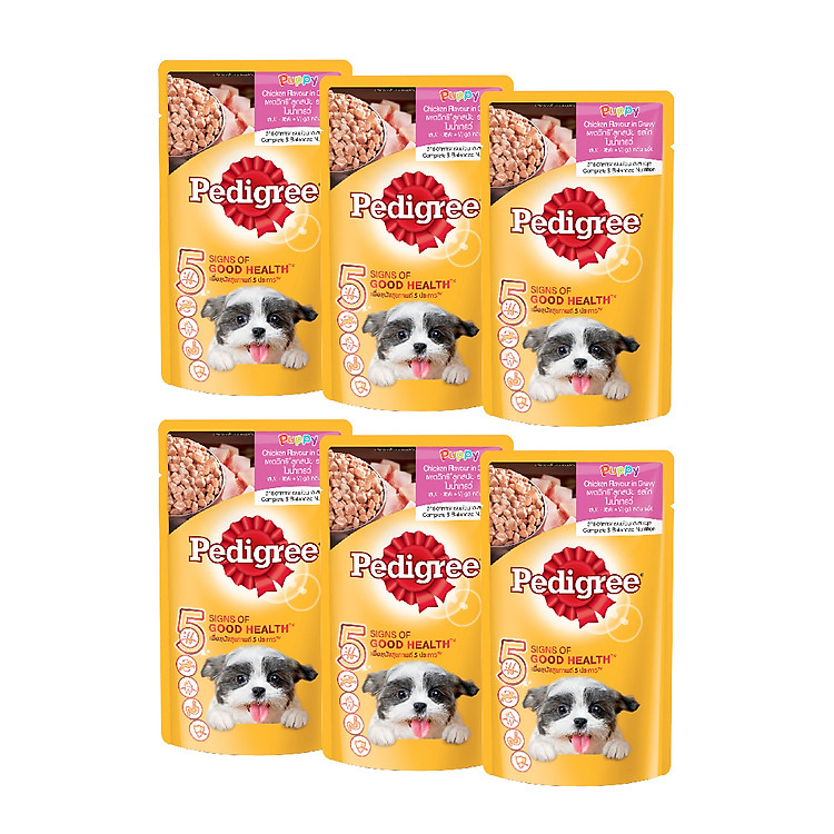 Combo 6 gói thức ăn cho chó con dạng sốt Pedigree vị gà rau củ 130g