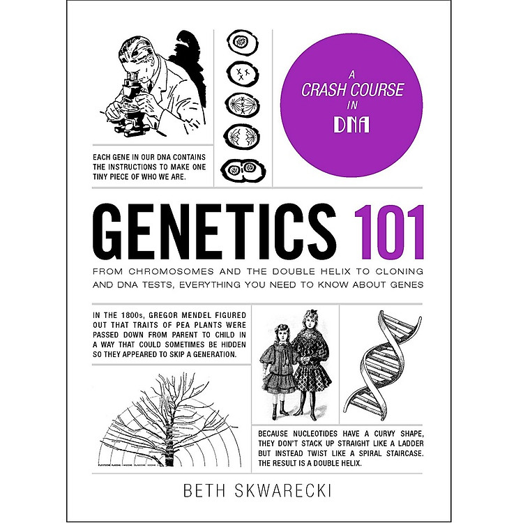 Sách Genetics 101: From Chromosomes and the Double Helix to Cloning and DNA Tests, Everything You Need to Know about Genes (Adams 101)