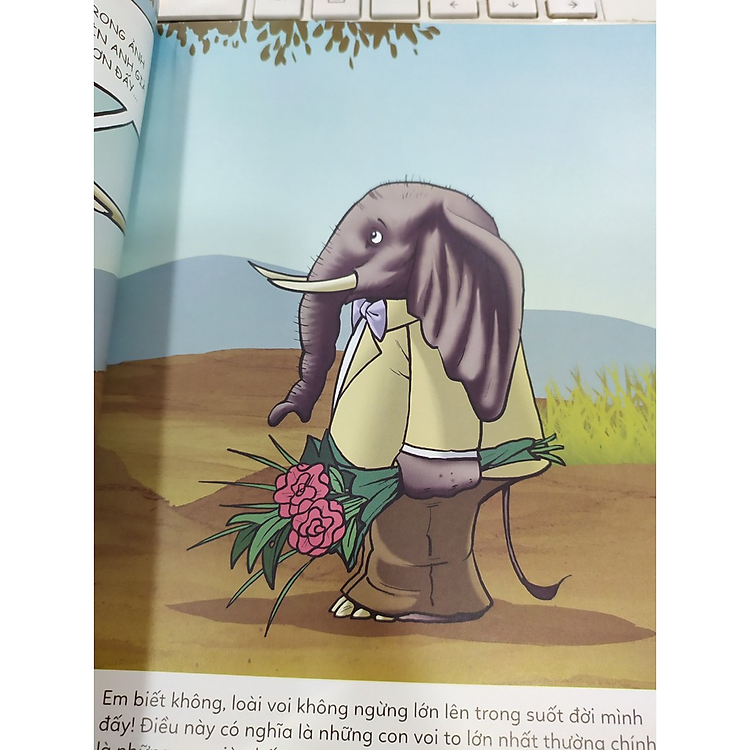 Ô Kìa! Em Có Biết: Voi - Ảnh 2