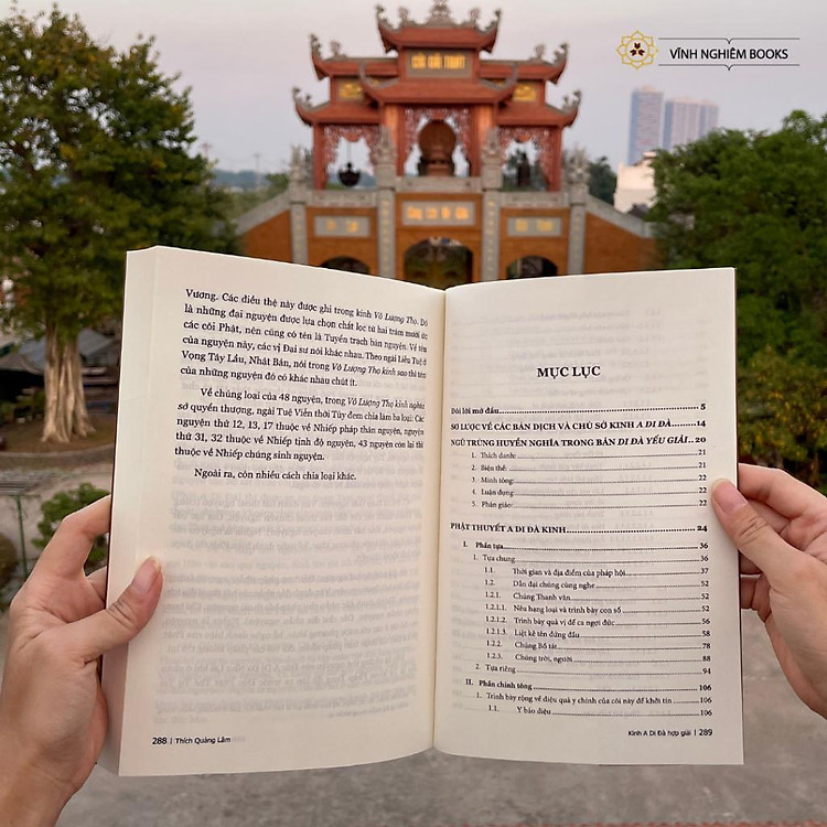 Kinh A Di Đà Hợp Giải - Ảnh 5