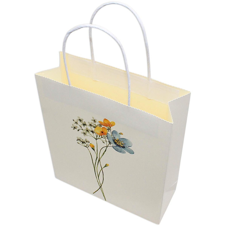 Túi Giấy Kraft (22 x 25 x 8 cm) - Ảnh 7