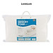 Gối Memory Foam 50D Hình Cong Lock&Lock HLW111 (50 x 30 cm) - Trắng