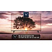 Smart Tivi LG 4K 43 inch 43UQ7550PSF - Hàng Chính Hãng