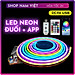 Dây Led Neon RGB Đuổi 5V Điều Khiển Remote và App Điện Thoại