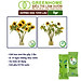 Dưỡng Hoa Tươi Lâu Greenhome, Longlife, Phân Bón Cho Hoa Cắt Cành, Gói 5gr, Lâu Tàn, Nở Bông To, Không Bị Hôi Nước
