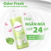 Bộ 2 Sữa Tắm Gội Trẻ Em Lactacyd Baby Extra Milky 500ml + 1 Dung Dịch Vệ Sinh Phụ Nữ Odor Fresh 250ml