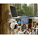Camera Ezviz EB8 2K Dùng Sim 4G Kèm Pin Năng Lượng Mặt Trời -  Hàng chính hãng