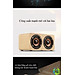 Loa Bluetooth Không Dây Cao Cấp Huqu HQ-W5 Hỗ Trợ Cổng AUX Thẻ  Nhớ , Nghe FM - Hàng Chính Hãng