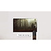 Smart Tivi LG 4K 43 Inch 43UQ7050PSA - Model 2023