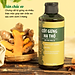 Cốt Gừng Hạ Thổ Massage Săn Chắc Vòng Eo, Lưu Thông Khí Huyết Wonmom 200ml