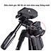 Tripod - Chân đế điện thoại, chân đế máy ảnh Yunteng VCT 5208 kiêm giá đỡ có remote Bluetooth điều khiển chụp từ xa
