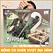 Mô hình xe tăng điều khiển từ xa đồ chơi xe tank cho bé trai MySun