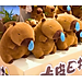 Gấu bông CAPYBARA chảy nước mũi dễ thương đáng yêu siêu hot size 25cm - Hàng chính hãng