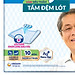 Tấm Đệm Lót Siêu Thấm Caryn (10 Miếng)