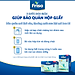 Combo 2 Hộp Sữa Bột Friso Gold 4 Hộp Giấy 1200G/hộp (Dành cho trẻ 2 - 6 tuổi) + Tặng Máy xay cầm tay