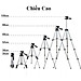 Giá Đỡ Quay Phim 3 Chân Máy Chụp Ảnh Tripod Tặng Kèm Miếng Kẹp Điện Thoại Gậy 3 Chân Livestream, Quay Tiktok, Chụp Ảnh - Hàng Chính Hãng Amalife