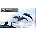 55P79B Pro - Google TV TCL 4K 55 inch 55P79B Pro - Hàng Chính Hãng - Chỉ Giao Hồ Chí Minh