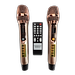 Loa Kéo Di Động Karaoke Bass 40 U.B.L LK-40-100 (800W) 4 Tấc - Màu Ngẫu Nhiên - Hàng Chính Hãng