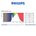 Bóng PHILIPS Master LED 7-50W MR16 Dim