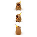 Thú nhồi bông Capybara đội nón sinh nhật có dòng chữ Happy everyday - Size từ 35cm đến 85cm - Quà tặng gấu bông chuột lang đeo nơ dễ thương.