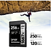 Thẻ nhớ Lexar Professional 1667x SDXC UHS-II SILVER Series - Tốc độ đọc 250 MB/s, Chất lượng cao - Hàng chính hãng