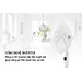 Quạt đứng Toshiba F-LSD10(W)VN (30W) - Hàng chính hãng