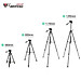 Chân Máy Ảnh Tripod WEIFENG WT-3520 - Hàng nhập khẩu