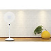 Quạt Đứng Toshiba F-LSD10(H)VN (30W) - Xám - Hàng chính hãng