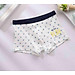 SEC 03 QUẦN LÓT BÉ TRAI CAO CẤP, COTTON