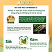 Sữa Hữu Cơ Miwako A+ Hộp 700g Vị Vani Nhập Khẩu Malaysia, Sữa Hạt Organic Dinh Dưỡng Phát Triển Trí Não & Chiều Cao Cho Bé Từ 1-6 Tuổi Vị Ngọt Thanh Dễ Uống