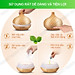 Máy phun sương tạo độ ẩm không khí dung tích lớn 550ml - cấp ẩm cho da, phòng điều hòa, khuếch tán tinh dầu - Chĩnh Hãng - VinBuy