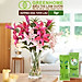 Dưỡng Hoa Tươi Lâu Greenhome, Longlife, Phân Bón Cho Hoa Cắt Cành, Gói 5gr, Lâu Tàn, Nở Bông To, Không Bị Hôi Nước