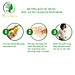 Dầu gừng thảo mộc massage tan mỡ bụng sau sinh Wonmom 70g