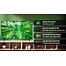 Smart Tivi LG 4K 43 inch 43UQ7550PSF - Hàng Chính Hãng