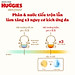 Thùng 3 gói Tã dán sơ sinh Huggies Tràm Trà NB70/S54/S80