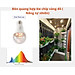 Đèn quang hợp, đèn trồng cây trong nhà 6W, chiếu sáng quang hợp cho cây xanh, trầu bà, lan chi, lộc phát, sen đá, Chính hãng Rạng Đông