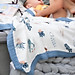 Chăn Aden&Anais sợi tre 4 lớp - Hàng chính hãƞg
