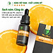 Bộ dưỡng trắng hồng, mịn màng da mặt Wonmom ( 1 serum vitamin C + 1 kem nghệ tươi )