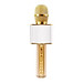 Micro karaoke không dây bluetooth kiêm loa nghe nhạc  3 trong 1 PF72 Gold - Hàng Chính Hãng