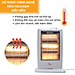 Quạt sưởi điện hai bóng Halogen HR-HT1200A -hàng chính hãng thương hiệu Hare - bảo hành 18 tháng