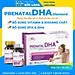 Prenatal DHA+ Dimond ASUKA bổ sung vitamin cho bà bầu và cho con bú - hộp 2 lọ x 30 viên